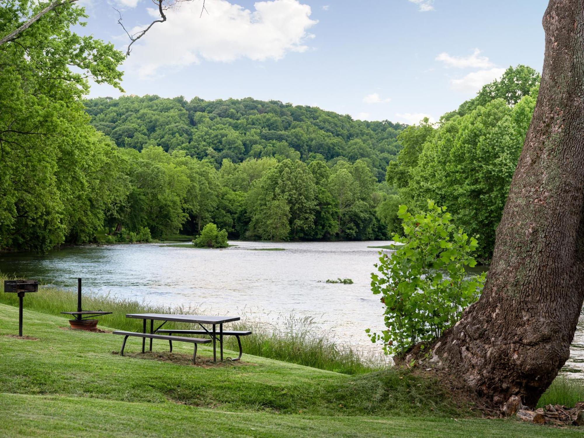 Shenandoah Dog Friendly Cabin With River Access, Hot Tub, Fire Pit, Bbq, Outdoor Dining Шенандоа Екстер'єр фото